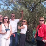 Artemis Lions Kulübü Urla’da Zeytin Hasadı Yaptı